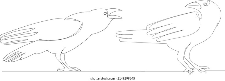 crows, bird continuous line drawing, sketch