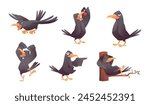 Crows. Black birds flying and standing exact vector funny birds in action poses