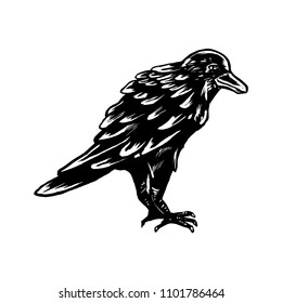 Crows Black Illustration