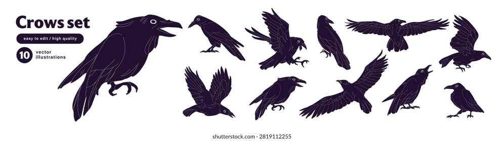 Crows in different poses set. Ravens fly, sit and croak. Birds with black feather are flying, landing and soaring in the sky. Halloween birdie character. Flat isolated vector illustrations on white