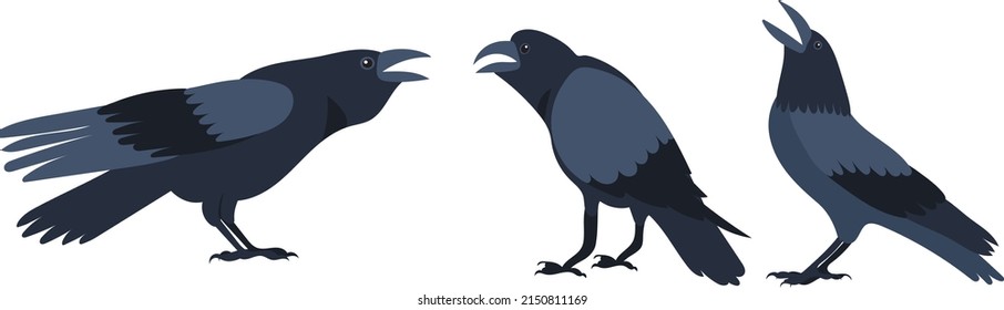 crows flat design, isolated on white background, vector