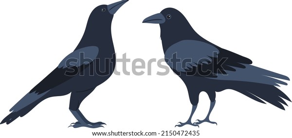 crows\
flat design, isolated on white background,\
vector