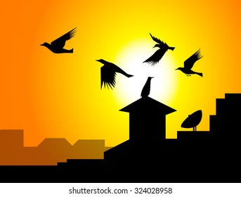 Crows Flying on City 
