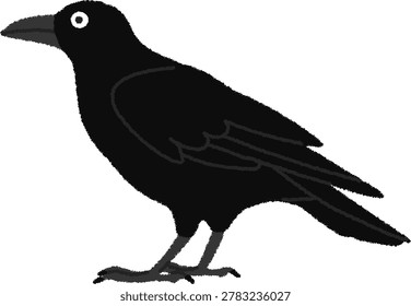 Crows are known to be highly intelligent birds with excellent ability to adapt to their environment.