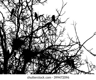 crows and nests on branches of tree vector silhouette