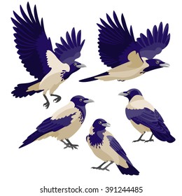 Crows on white background / Three are three sitting crows and two flying crows in cartoon style
