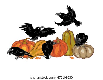 crows and pumpkins on a white background. vector illustration