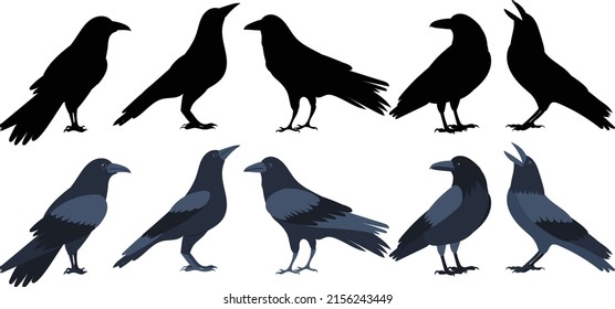 crows set silhouette, on white background, isolated, vector