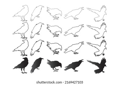 Crows Vector Icon Symbol Template. Crows Vector Illustration