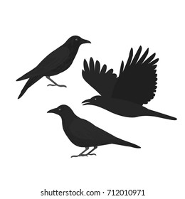 Crows.Vector illustration.