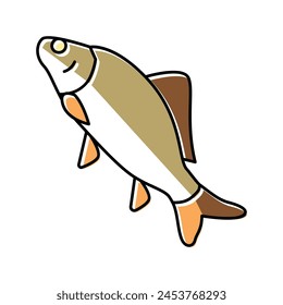 crucian carp color icon vector. crucian carp sign. isolated symbol illustration