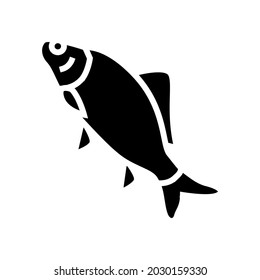 crucian carp glyph icon vector. crucian carp sign. isolated contour symbol black illustration