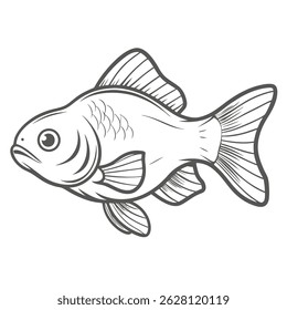 Crucian Carp Illustration, Outline Style, Carassius
