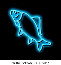 crucian carp neon light sign vector. crucian carp illustration