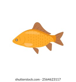 Crucian Carp Seafood Vector Illustration, Isolated