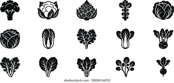 Cruciferous Vegetables Silhouette Icon Set Vector Broccoli Cauliflower Cabbage Bok Choy