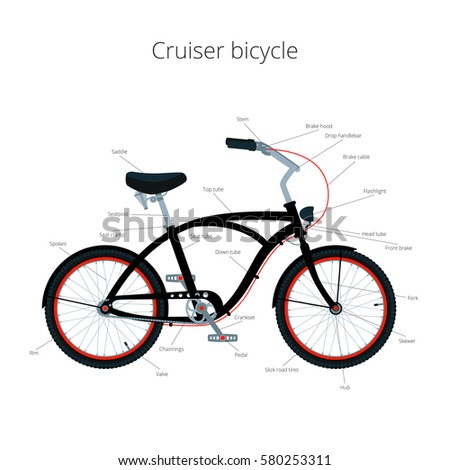 Cruiser bicycle infographic elements and parts. Vector illustration isolated on white.