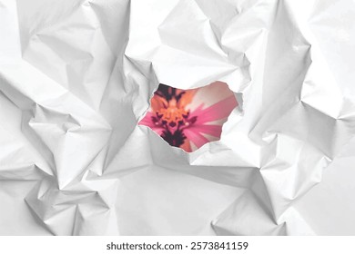 crumpled paper texture background of vector