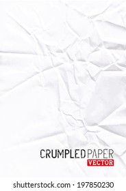 Crumpled Paper Vector background design.
