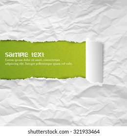 Crumpled ripped rolled vector white paper background for your creative design.