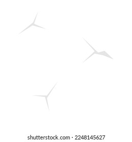 Crumpled sheet of white paper