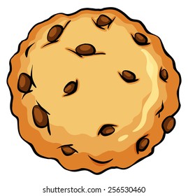 Crunchy brown cookie on a white background