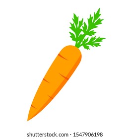 Crunchy carrot vector icon on white background