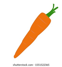 Crunchy carrot vector icon on white background