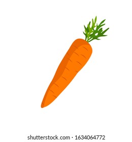 Crunchy carrot vector icon on white background
