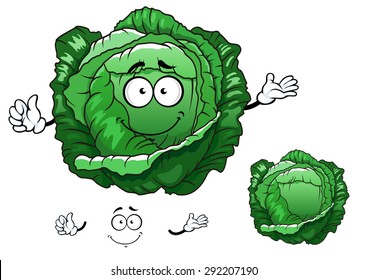 Crunchy fresh cabbage vegetable cartoon character with sappy bright green leaves, for vegetarian food or agriculture design