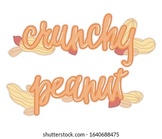 crunchy peanuts isolated vector illustration with handwritten lettering for banner, print, sticker, food decoration