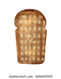 Crunchy slice of toasted wheat bread realistic vector illustration