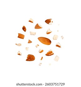Crushed almonds isolated, nut pieces, sliced scattered almond seeds and cut kernels on white background, vector illustration