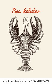 Crustacean lobster with claws. River and lake or sea creature. Freshwater aquarium. Poster for the menu. Engraved hand drawn in old vintage sketch. Seafood background.