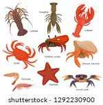 Crustacean vector crab prawns ocean lobster and crawfish or crayfish seafood illustration crustaceans set of sea animals shrimp isolated on white background