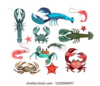 Crustaceans and starfishes set. Sea creature collection. Can be used for topics like seafood, ocean, restaurant