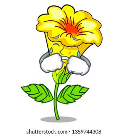 Crying allamanda flowers in a cartoon pots