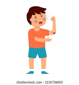 Crying Boy Kids Has Elbow Bleed Stock Vector (Royalty Free) 2135736055 ...