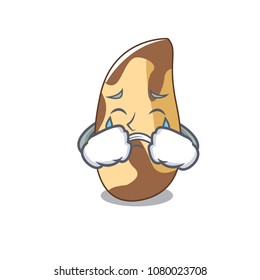 Crying brazil nut mascot cartoon