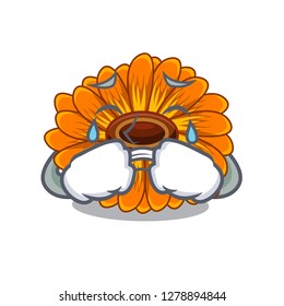 Crying calendula flower in the mascot stem