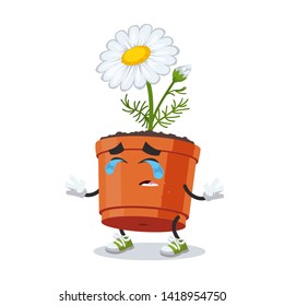 Crying cartoon daisy flower in a pot mascot on white background