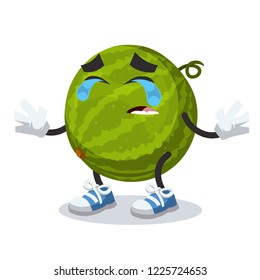 Crying cartoon watermelon mascot on white background