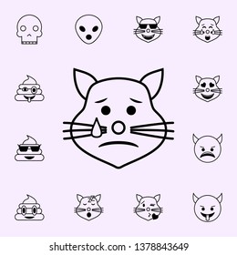 crying cat icon. Emoji icons universal set for web and mobile