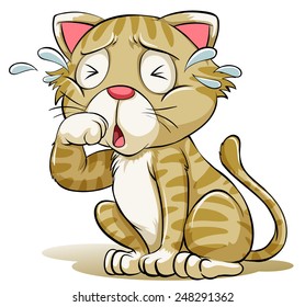 A Crying Cat On A White Background