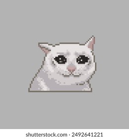 Crying cat, pixel art animal meme