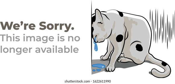 A crying cat tearing against the wall represent the apology for user who click on something but no longer available.