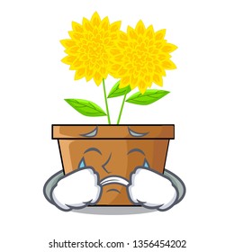 Crying dahlia flower in the mascot stem