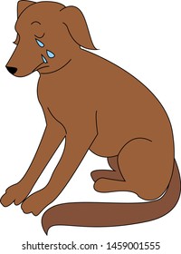 Perro llorando, ilustración, vector sobre fondo blanco.