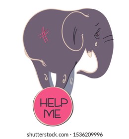 A crying and fearing elephant on a ball. Stop animal circuses, pet protection banner.

