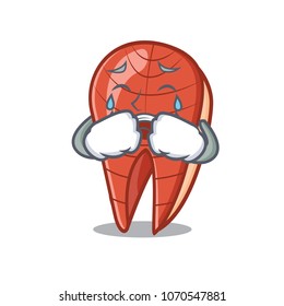 Crying fish slice mascot cartoon